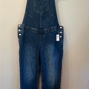 GAP Maternity Dark Blue Women's Denim Overalls